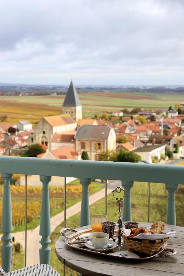 Chateau De Sacy Exteriér fotografie
