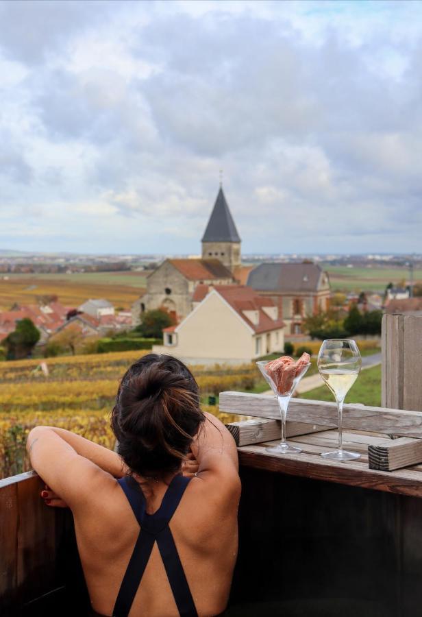 Chateau De Sacy Exteriér fotografie